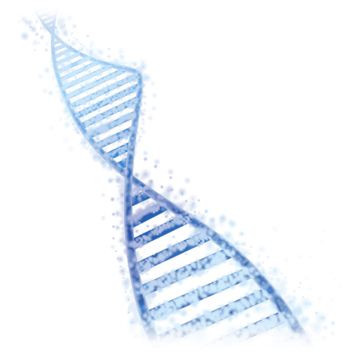 Testosterone Therapy